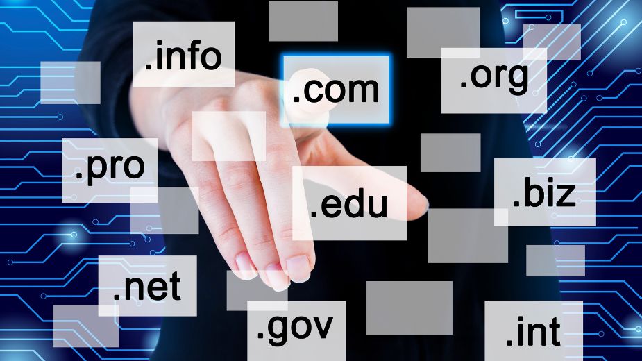 What is Domain Management Software and How Does It Work?